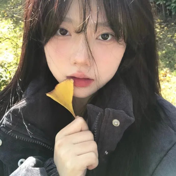 分界线 在线观看